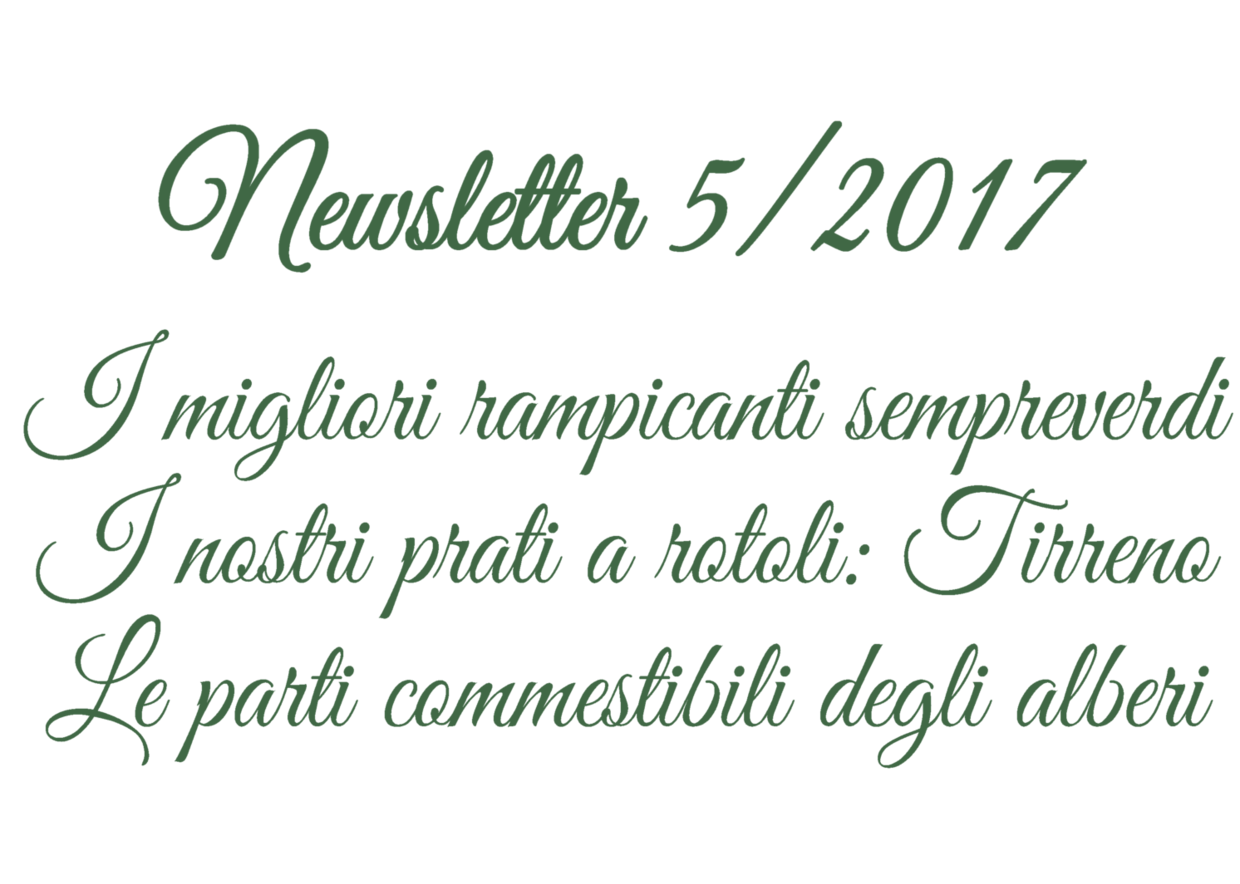 Newsletter 5/2017 - I migliori rampicanti sempreverdi, I nostri prato a rotoli - Tirreno, Le parti commestibili degli alberi