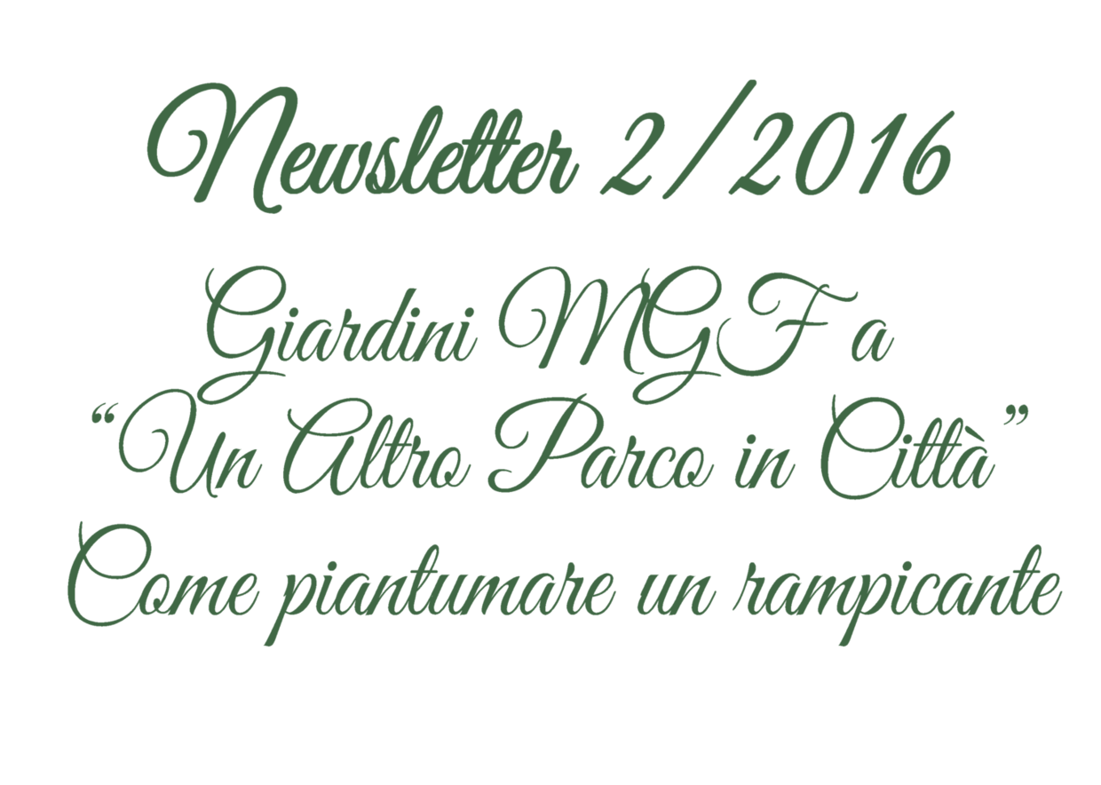 Newsletter 2/2016 - Giardini MGF a 'Un Altro Parco in Città', Come piantare un rampicante, Catalogo '16-'17