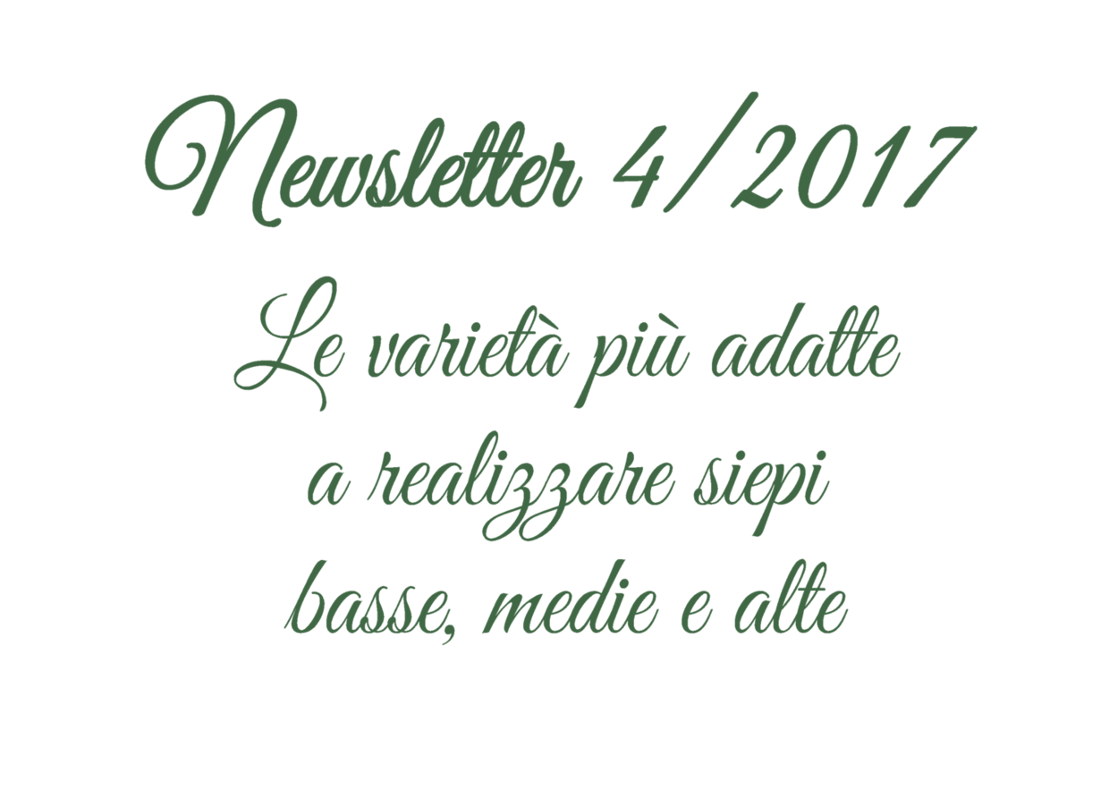 Newsletter 4/2017 - Le varietà più adatte a realizzare siepi